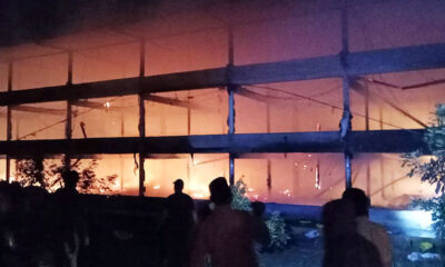 Kebakaran Kandang Ayam Di Gedangan Malang, Kerugiannya Bikin Jambak Rambut