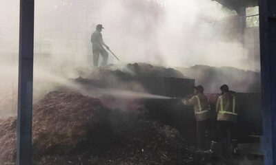Pabrik Gula Merah Di Jabung Kabupaten Malang Terbakar