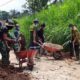 Kodim 0818 Malang Batu TMMD Di Dusun Sayang Ngantang