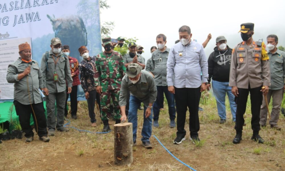 Elang Jawa Dilepas Di Coban Trisula TNBTS