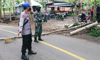 Satpolairud Polres Malang Ajak Perhutani Potong Pohon Rawan Roboh