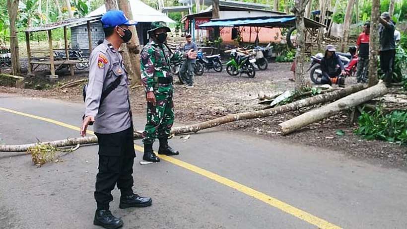 Satpolairud Polres Malang Ajak Perhutani Potong Pohon Rawan Roboh