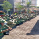 IMG 20211212 162527
