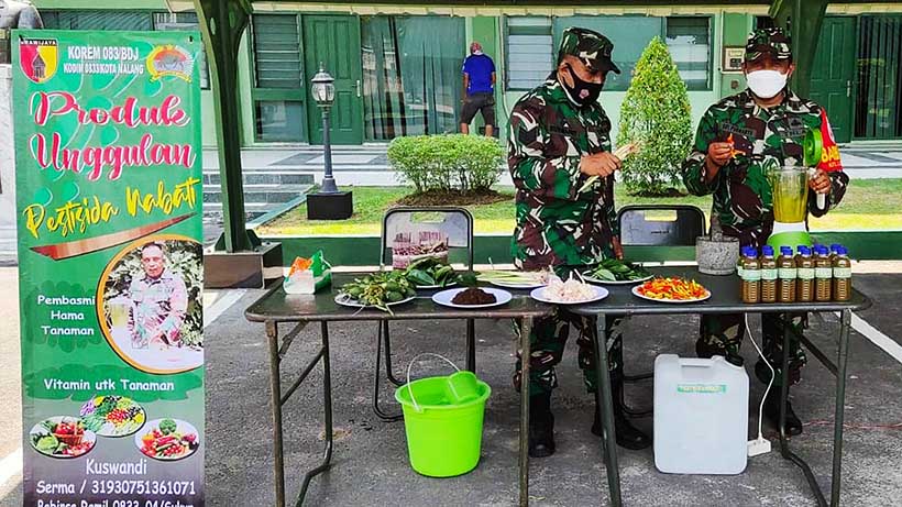 Babinsa Karangbesuki Koramil 0833/04 Sukun, Serma Kuswandi sukses menciptakan produk unggulan untuk Kodim 0833 Kota Malang. Kuswandi, adalah babinsa teritorial Kodim Kota Malang yang menciptakan pestisida berbahan nabati. Dia memanfaatkan bahan rempah-rempah di sekitarnya untuk meracik ramuan organik pembasmi hama. Pestisida nabati ini murni ciptaannya dan telah terbukti berfungsi. "Kelebihan produk ini adalah tidak mengandung racun kimia. Sehingga tidak merusak ekositem," kata Kuswandi dalam keterangan tertulis Penerangan Kodim 0833, Jumat (21/1). Fungsinya selain membasmi tanaman, tetapi juga masuk vitamin. Karena, semua bahannya organik. "Ada bahan-bahan yang tidak laku jual dan harga turun. Kita manfaatkan itu semua," jelasnya. Pembuatannya tidak membutuhkan biaya yang banyak. Karena, harga bahan baktu sangat terjangkau. "Semua bahan pembuatanya tersedia di sekitar kita," jelasnya. Racikan Kuswandi tersebut cukup ampuh dan efektif. Sebanyak 200 mililiter bisa menjadi bahan baku untuk 15 liter air pestisida cair. Kuswandi mengatakan, produk pestisida nabati ini terbuat dari sejumlah bahan alami yang banyak ada di sekitar. Dia pun tidak sekadar menciptakan pestisida nabati tersebut. Kuswandi juga mempraktikkan penggunaannya di wilayah teritorial binaannya. "Kami sudah gunakan pestisida nabati ini di wilayah RW 04 Kelurahan Karangbesuki yang menjadi teritorial binaan saya," kata Kuswandi. Ramuan ini cukup efektif untuk membasmi sejumlah hama. "Misalnya saja hama ulat, trip, kutu daun, belalang, wereng sampai walang sangit," katanya. Pestisida berbahan nabati ini mejnadi produk unggulan dari Kodim 0833 Kota Malang yang bermanfaat bagi masyarakat. Bagi masyarakat yang ingin memanfaatkan pestisida nabati untuk kebun atau tanamannya, boleh datang ke Kodim 0833 Kota Malang untuk mengetahui resepnya.