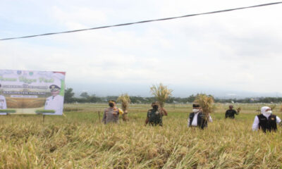 IMG 20220407 162133