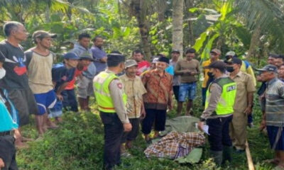 Pamit Ambil Kelapa, Kakek di Malang Ditemukan Meninggal