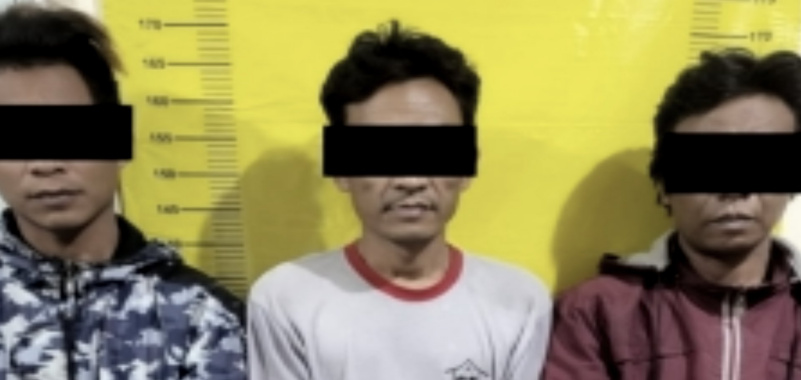 Tiga Orang Pelaku Penggelapan Pakan Ternak Ditangkap Polisi