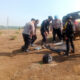IMG 20240715 165218