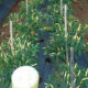 IMG 20240904 153023