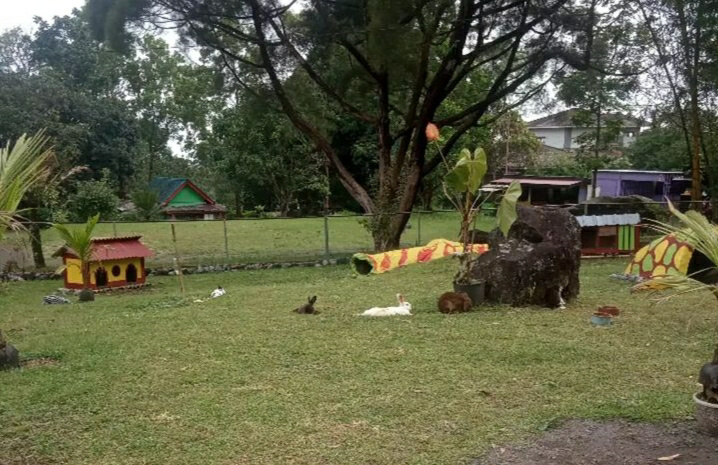 Taman Kelinci Pujon: Destinasi Wisata Ramah Anak dengan Pesona Rumah Hobbit 26 IMG 20240906 192318