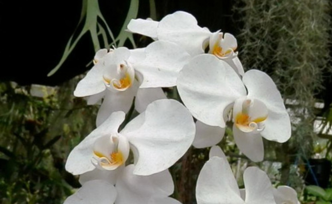 IMG 20240916 201354