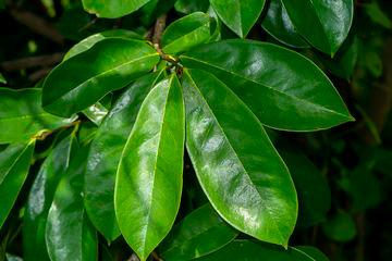 IMG 20240928 183950