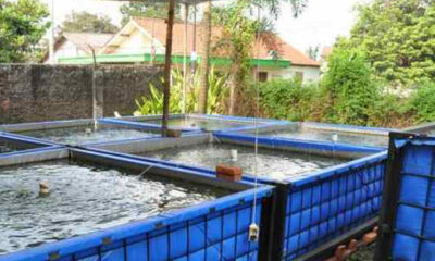 IMG 20241002 201312