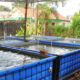 IMG 20241002 201312