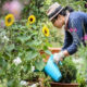 11 Tips Merawat Tanaman Hias, sangat Mudah agar Tumbuh Subur 28 IMG 20241003 192200