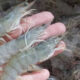 IMG 20241004 211121