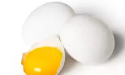 IMG 20241009 122410