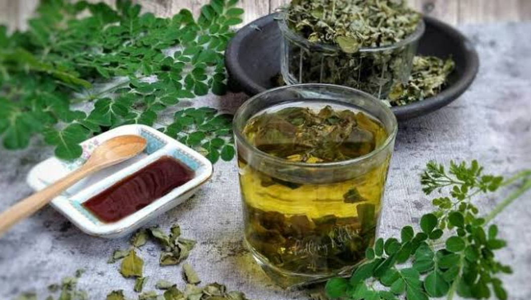 Resep Teh Daun Kelor sangat Baik untuk Kesehatan Tubuh 26 IMG 20241104 081351