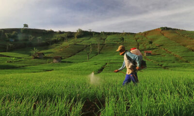 Petani Milenial, Potensi dan Targetnya