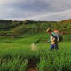 Petani Milenial, Potensi dan Targetnya