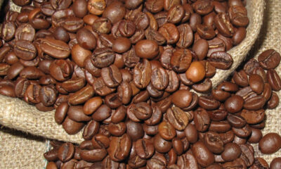 5 Jenis Kopi Terkenal di Dunia