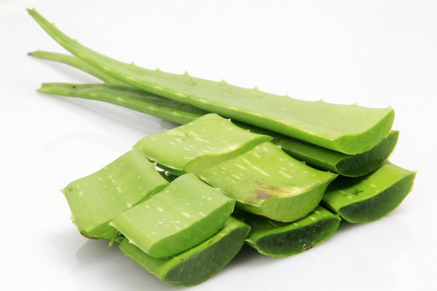 4 Tanaman Herbal untuk Meredakan Gondongan