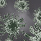 Avian Influenza, Jenis, Penyebaran dan Pencegahannya