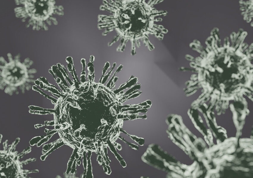 Avian Influenza, Jenis, Penyebaran dan Pencegahannya