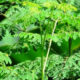 IMG 20250209 113813
