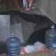 IMG 20250220 080906