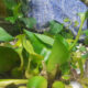 IMG 20250313 100331