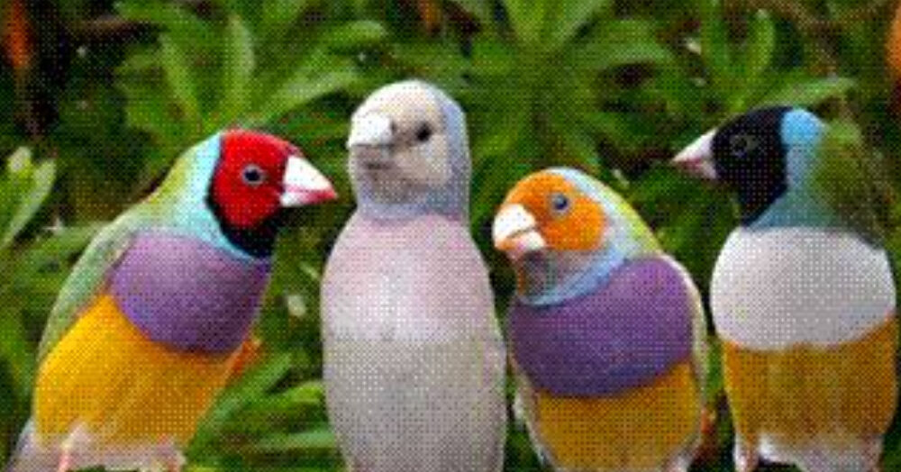 IMG 20250318 170814
