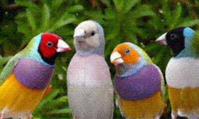 IMG 20250318 170814
