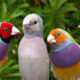 IMG 20250318 170814