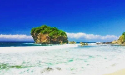 Pantai Watu Kodok: Surga Tersembunyi 33 IMG 20250624 225933