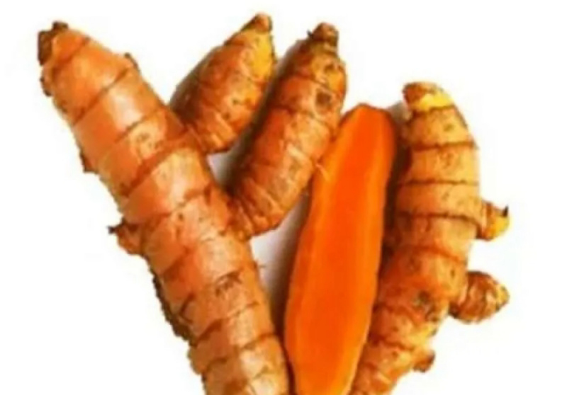 Manfaat Kunyit yang Menakjubkan: Kekuatan Kurkumin untuk Kesehatan dan Daya Tahan Tubuh 26 IMG 20251212 092454