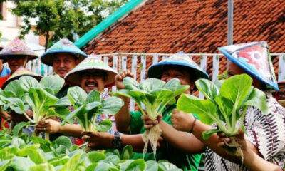 IMG 20251218 193414