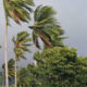 IMG 20260124 054630