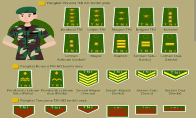 Mengenal Golongan Perwira Tinggi (Pati) TNI dan Polri: Urutan Pangkat & Update 2026