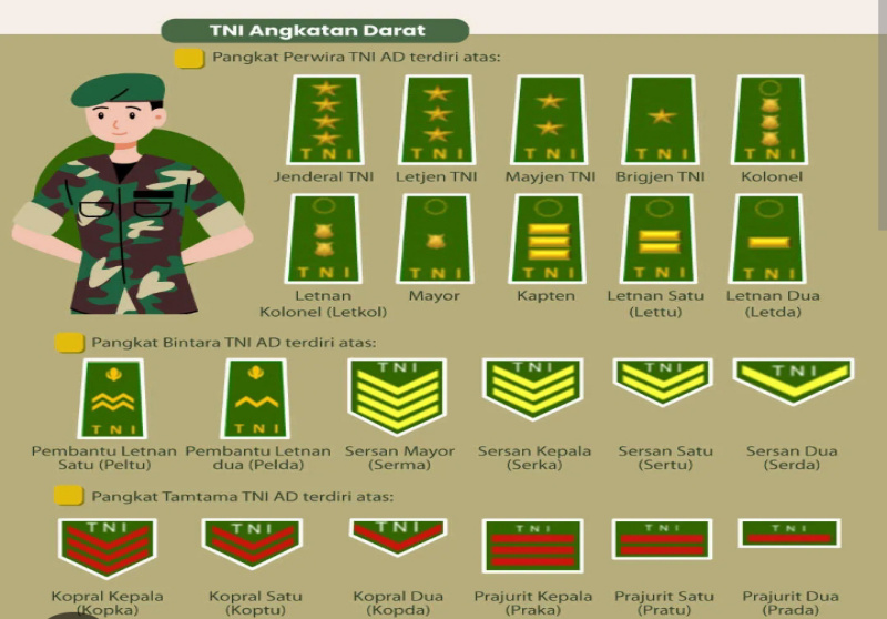 Mengenal Golongan Perwira Tinggi (Pati) TNI dan Polri: Urutan Pangkat & Update 2026
