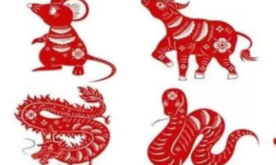 Ramalan Shio Besok, Sabtu 14 Maret 2026: Keberuntungan Tikus dan Peringatan Ciong bagi Shio Kuda
