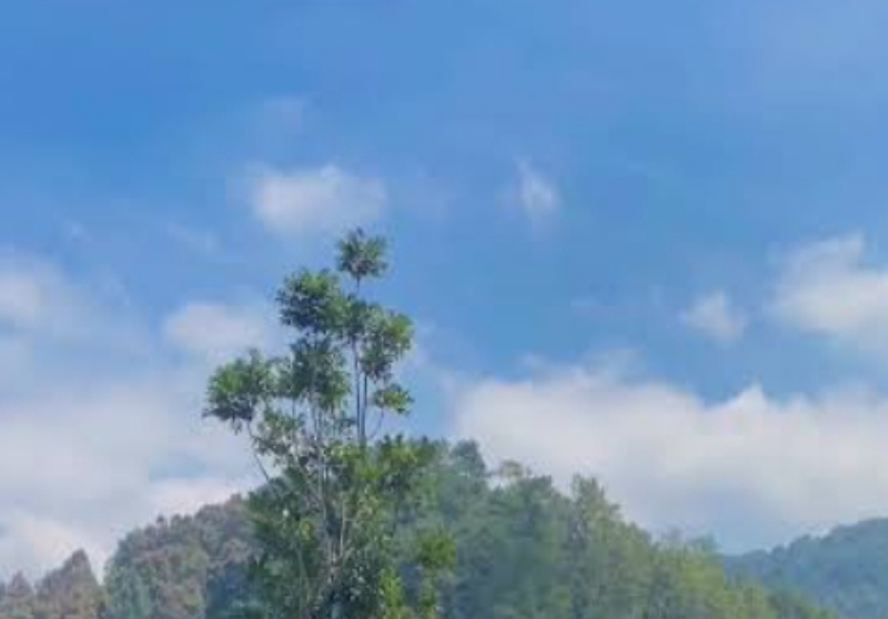Prakiraan Cuaca Malang Raya Hari Ini: Waspada Hujan Petir dan Kabut Tebal di Kota Batu