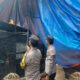 Polres Malang Bongkar Arena Judi Sabung Ayam di Pakisaji: Langkah Tegas Cegah Perjudian