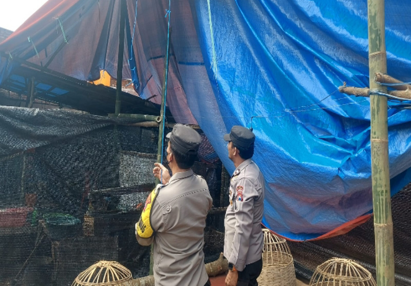 Polres Malang Bongkar Arena Judi Sabung Ayam di Pakisaji: Langkah Tegas Cegah Perjudian