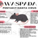 Waspada Ancaman Hantavirus: Mengenal Bahaya, Gejala, dan Cara Pencegahan Infeksi Virus dari Tikus 36 IMG 20260513 204539