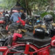 IMG 20260515 073019