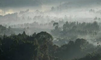 IMG 20260701 180917