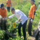 IMG 20260704 181918
