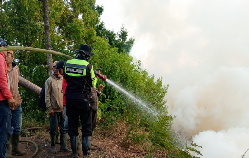 Karhutla Bromo Merembet ke Wilayah Malang: Api Capai Kawasan Jemplang Poncokusumo, Tim Gabungan Berhasil Kendalikan Kobaran