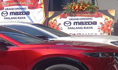 IMG 20260812 151818